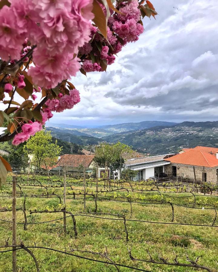 Vald'arêgos - Douro Resende Exterior foto